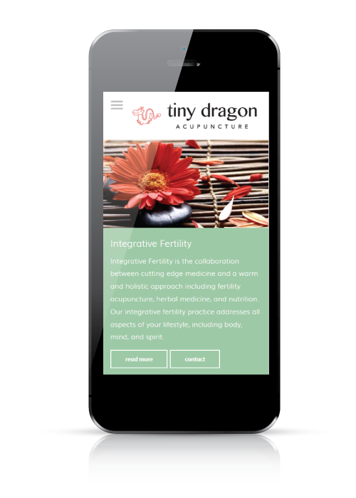 Tiny Dragon Acupuncture - web design