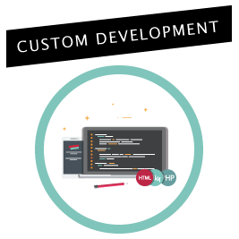 custom development